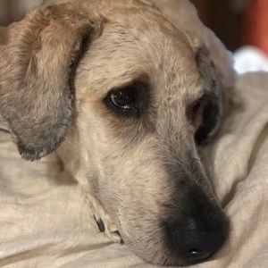 Meet your Posher, Deborah